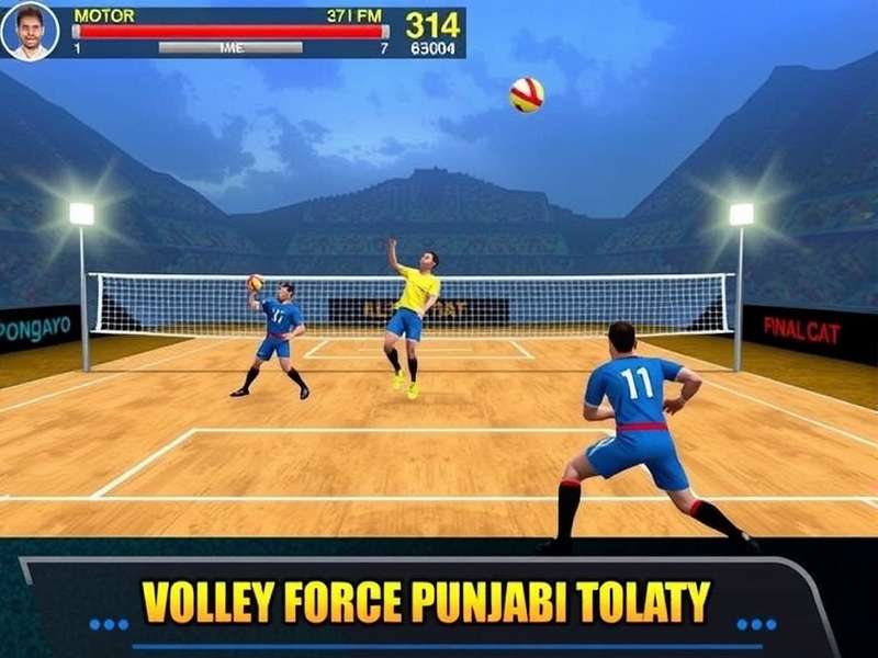 Volley Force Punjabi Game Screenshot